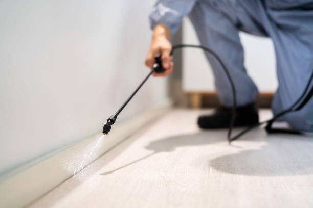 Rodent Entry Point Assessment in Waukegan
