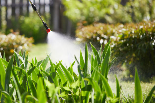 Tamper-Resistant Bait Stations for Rodents in Waukegan