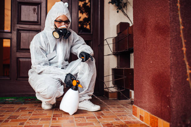 Attic and Crawl Space Rodent Treatment in Waukegan