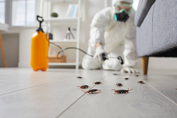 Commercial Rodent Management in Waukegan
